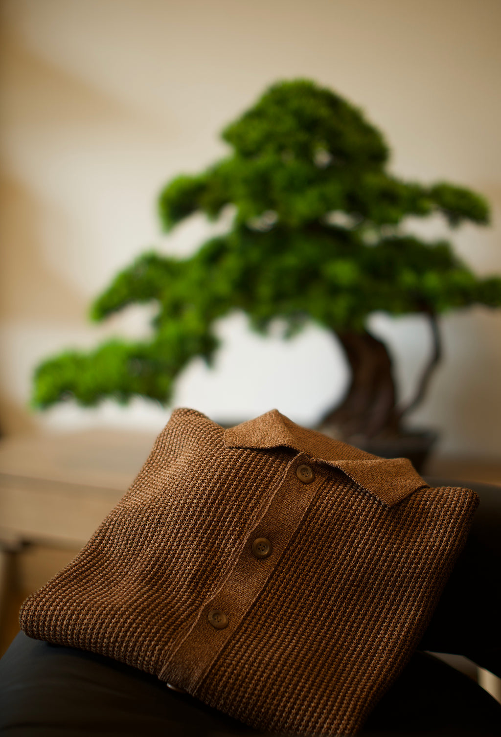 Brown Knit Button Polo Shirt